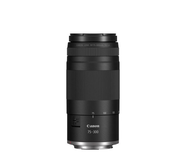 CANON EOS R50 + RF-S 18-45mm + RF 75-300mm 5811C148 - 1426148 - zdjęcie 10